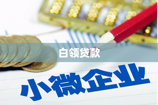 大里白领贷款