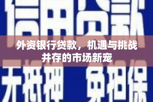 郸城外资银行贷款，机遇与挑战并存的市场新宠