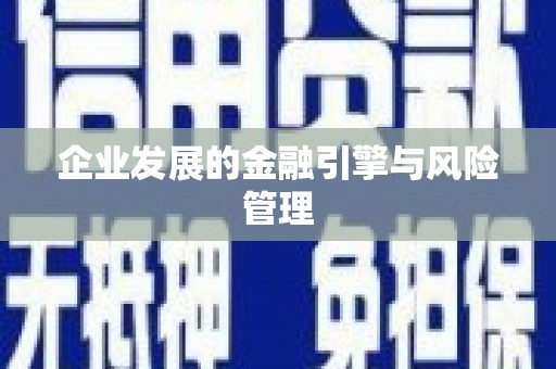 双清企业发展的金融引擎与风险管理