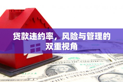 官渡贷款违约率，风险与管理的双重视角