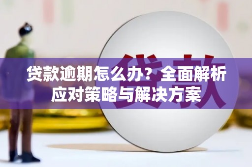 乌来贷款逾期怎么办？全面解析应对策略与解决方案