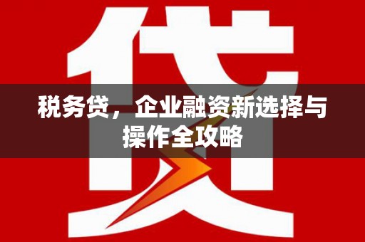 临潭税务贷，企业融资新选择与操作全攻略