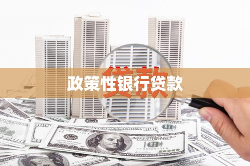 九台政策性银行贷款