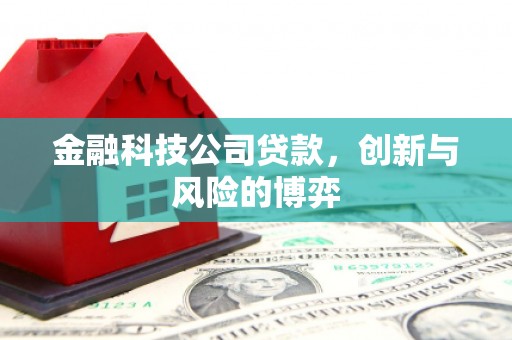 阳新金融科技公司贷款，创新与风险的博弈