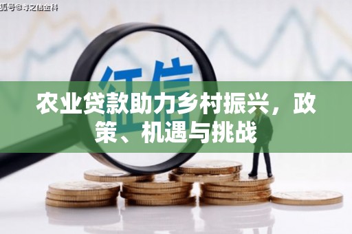 山阳农业贷款助力乡村振兴，政策、机遇与挑战