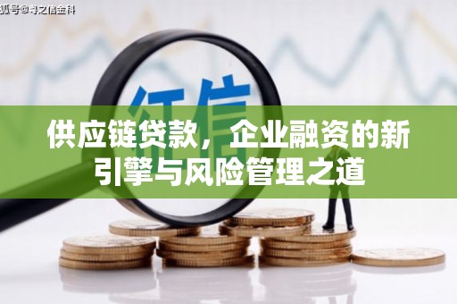 琼中供应链贷款，企业融资的新引擎与风险管理之道