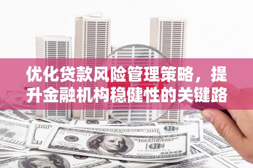 碑林优化贷款风险管理策略，提升金融机构稳健性的关键路径