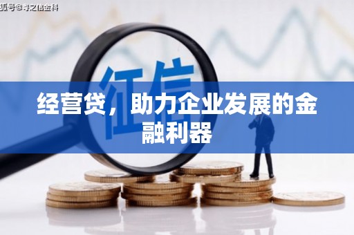 莎车经营贷，助力企业发展的金融利器
