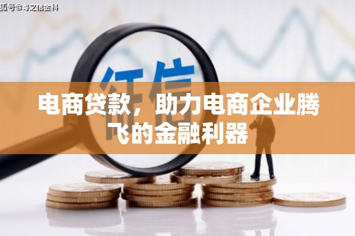 二仑电商贷款，助力电商企业腾飞的金融利器