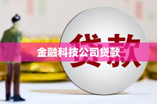 万秀金融科技公司贷款
