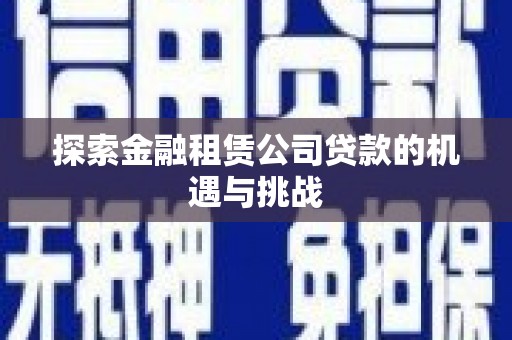 曹妃甸探索金融租赁公司贷款的机遇与挑战