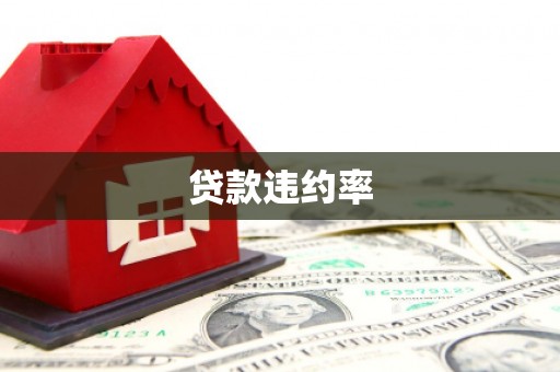 海州贷款违约率