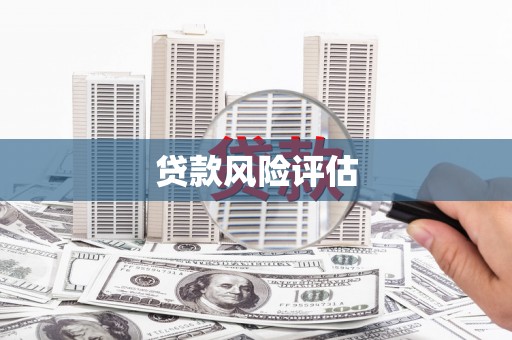 文安贷款风险评估