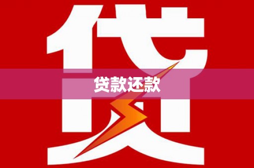 田林贷款还款