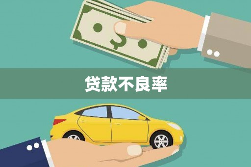 巴马贷款不良率