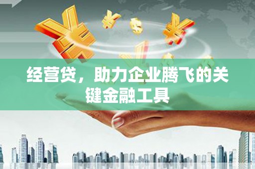 南乐经营贷，助力企业腾飞的关键金融工具