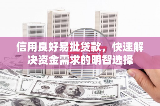 乐东信用良好易批贷款，快速解决资金需求的明智选择