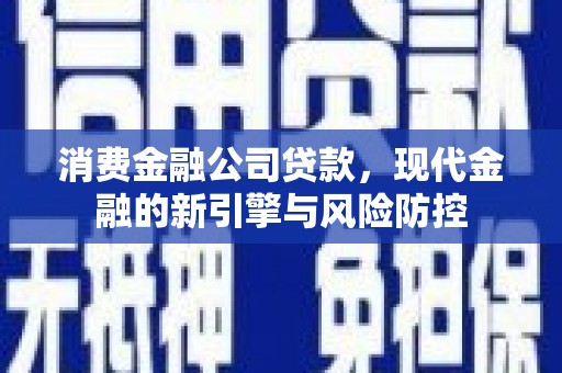 昭平消费金融公司贷款，现代金融的新引擎与风险防控