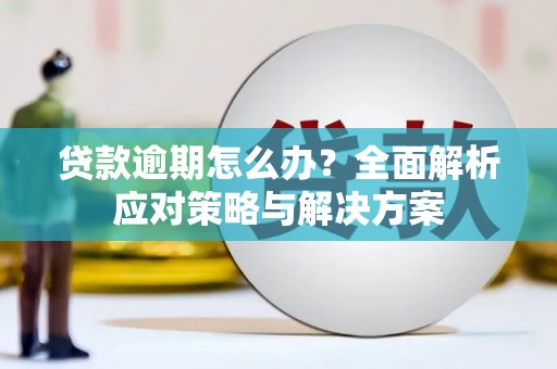 乐东贷款逾期怎么办？全面解析应对策略与解决方案
