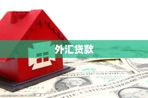东乌旗外汇贷款