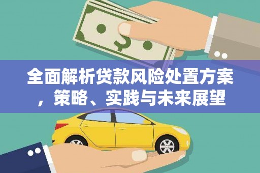 化州全面解析贷款风险处置方案，策略、实践与未来展望