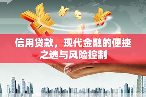 凌海信用贷款，现代金融的便捷之选与风险控制