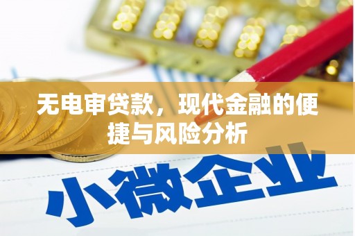 永登无电审贷款，现代金融的便捷与风险分析