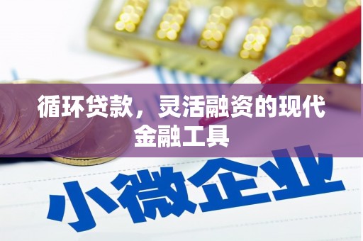 新蔡循环贷款，灵活融资的现代金融工具