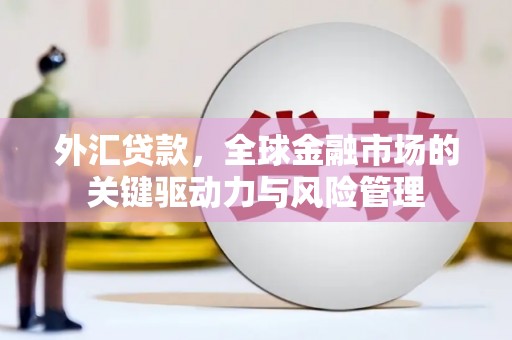 万峦外汇贷款，全球金融市场的关键驱动力与风险管理