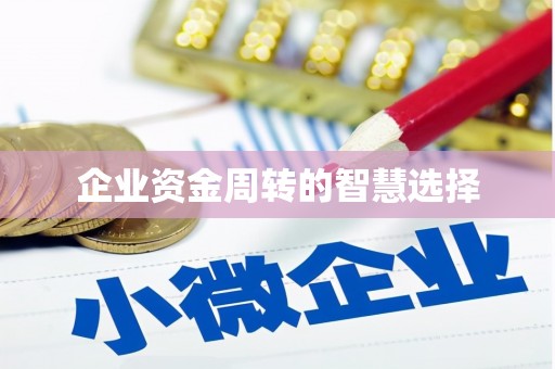 澄迈企业资金周转的智慧选择