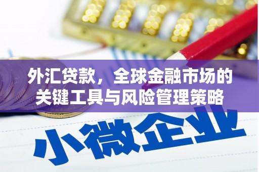 怀化外汇贷款，全球金融市场的关键工具与风险管理策略