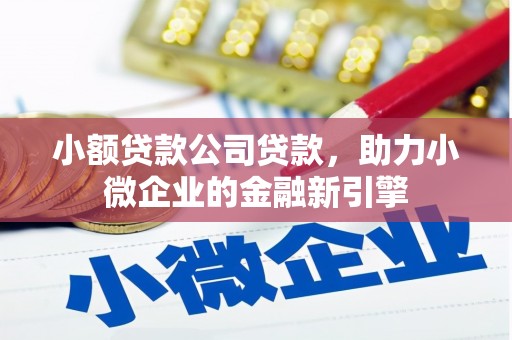 吐鲁番小额贷款公司贷款，助力小微企业的金融新引擎