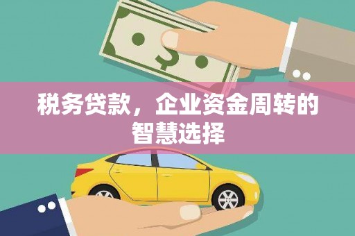 海原税务贷款，企业资金周转的智慧选择