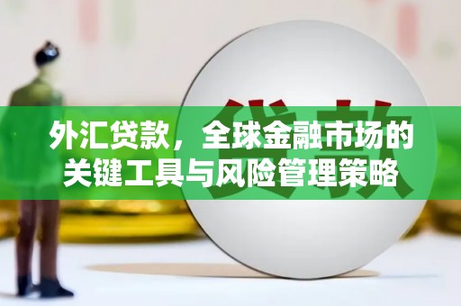南郊外汇贷款，全球金融市场的关键工具与风险管理策略