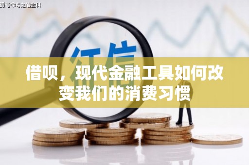枋山借呗，现代金融工具如何改变我们的消费习惯