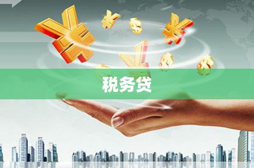 三台税务贷
