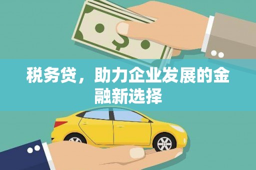 正宁税务贷，助力企业发展的金融新选择