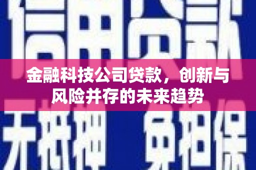 隆回金融科技公司贷款，创新与风险并存的未来趋势
