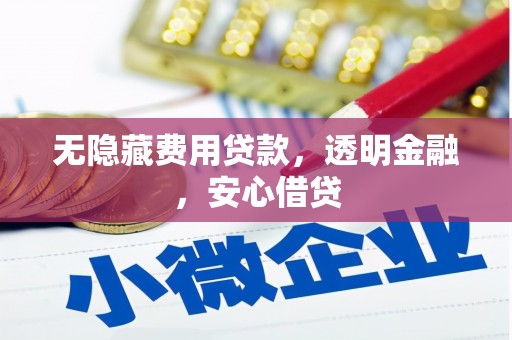沙依巴克无隐藏费用贷款，透明金融，安心借贷
