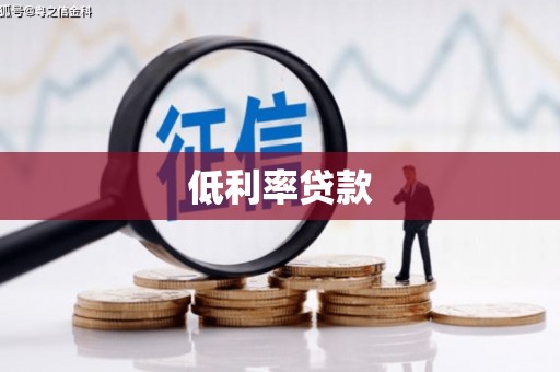 卢龙低利率贷款