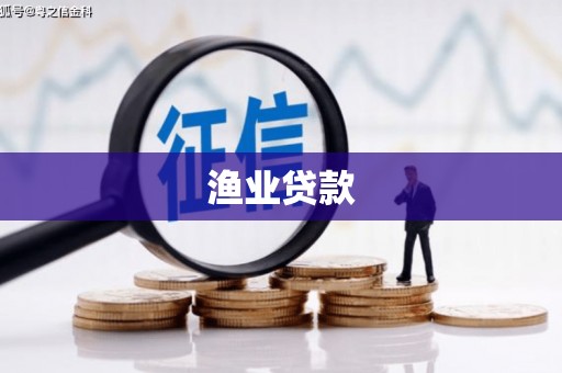 施甸渔业贷款