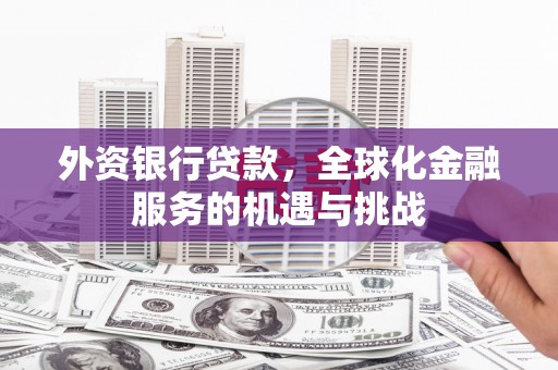 青河外资银行贷款，全球化金融服务的机遇与挑战
