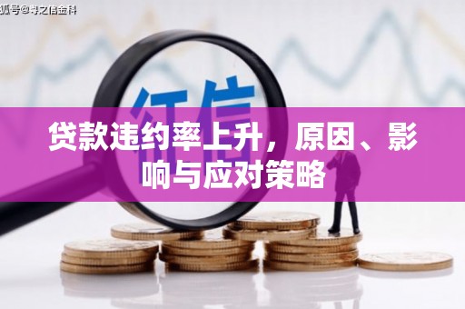 岳麓贷款违约率上升，原因、影响与应对策略