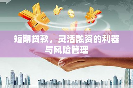 中卫短期贷款，灵活融资的利器与风险管理