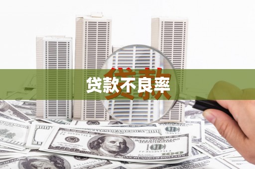 法库贷款不良率