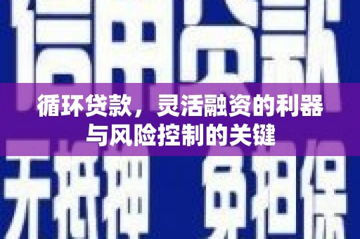 金东循环贷款，灵活融资的利器与风险控制的关键