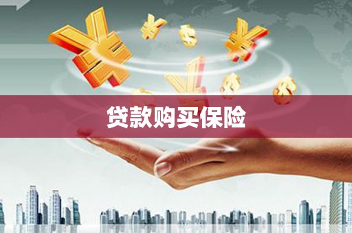 海盐贷款购买保险