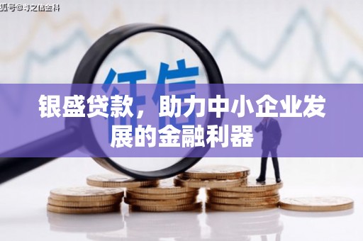 麦积银盛贷款，助力中小企业发展的金融利器