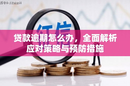 大树贷款逾期怎么办，全面解析应对策略与预防措施