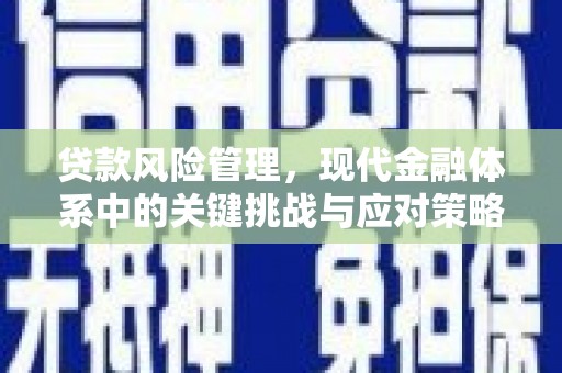 荣县贷款风险管理，现代金融体系中的关键挑战与应对策略
